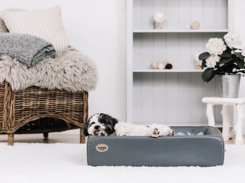 Hundebett KUDDE Kunstleder