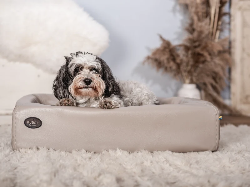 Hundebett KUDDE Kunstleder