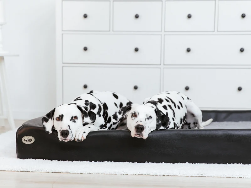 Hundebett KUDDE Kunstleder