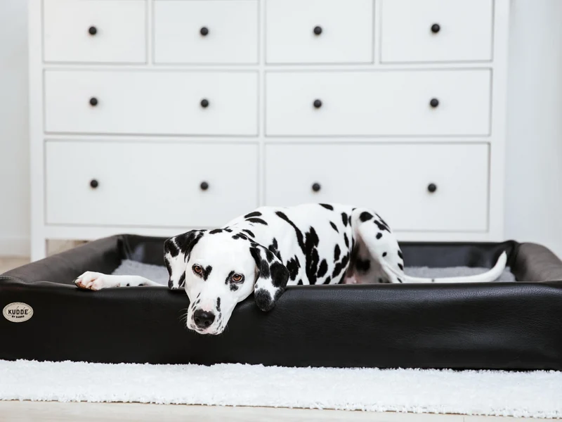 Hundebett KUDDE Kunstleder