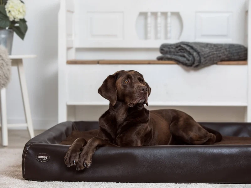 Hundebett KUDDE Kunstleder