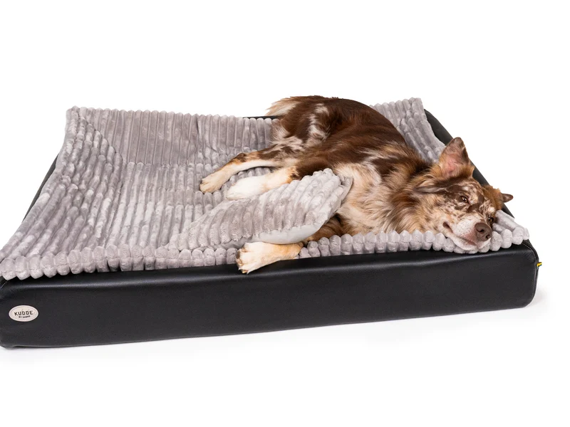 All-In Relax Bundle | KUDDE Hundebett + Einlage & Kissen