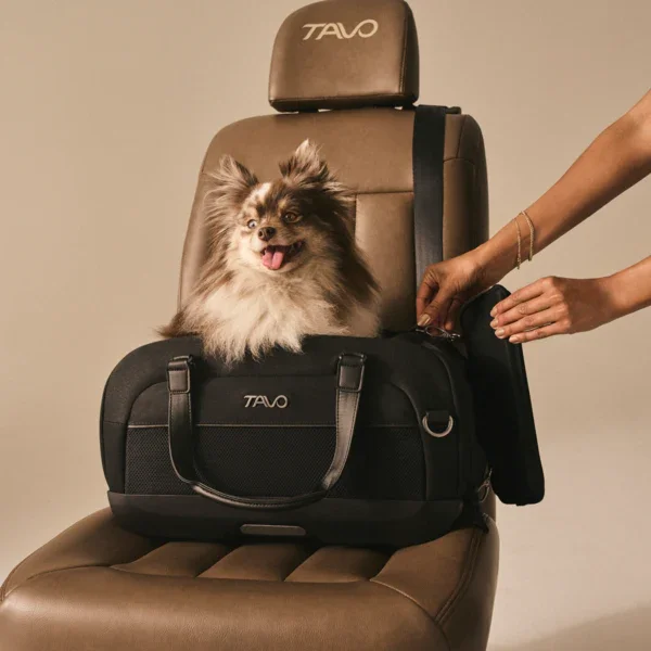 Flug- & Transporttasche Tavo Dupree II für Hunde & Katzen bis 9 kg | GREENGUARD-Gold-Zertifizierung | Farbe: Onyx