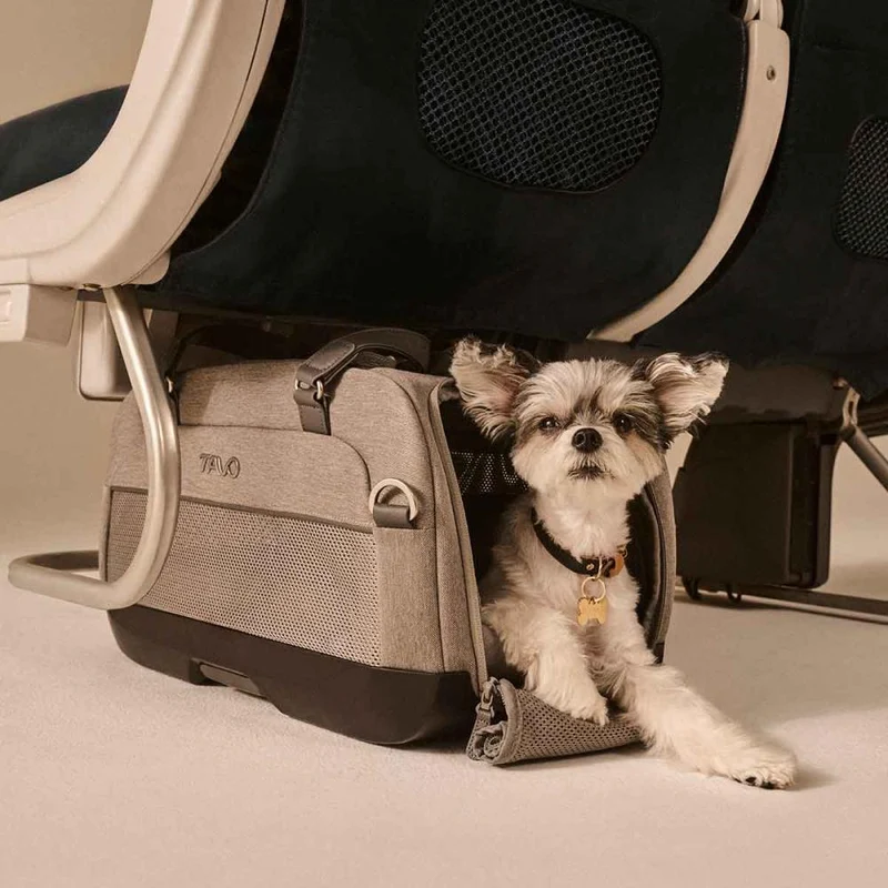 Flug- & Transporttasche Tavo Dupree II für Hunde & Katzen bis 9 kg | GREENGUARD-Gold-Zertifizierung | Farbe: Onyx