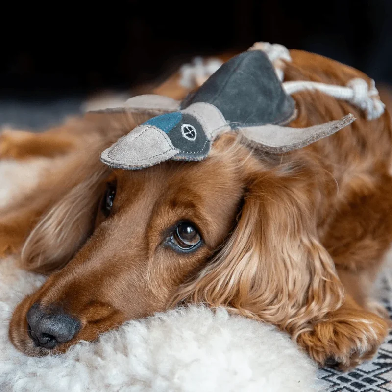 Fräulein Plath Hundespielzeug Ente | Robust & schadstoffgeprüft | Upcycling Leder