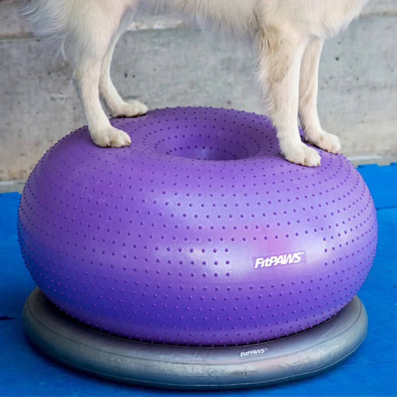 FitPAWS - TRAX | Balance - Donut für Hundetraining