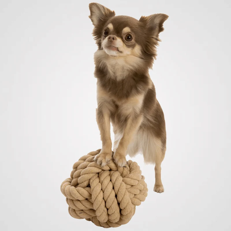 Tauball | Super robustes Spielzeug für Deinen Hund
