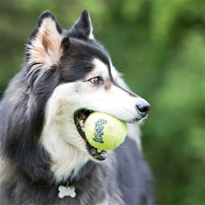 KONG - Squeakair Balls | lustiges Spielzeug für Deinen Hund