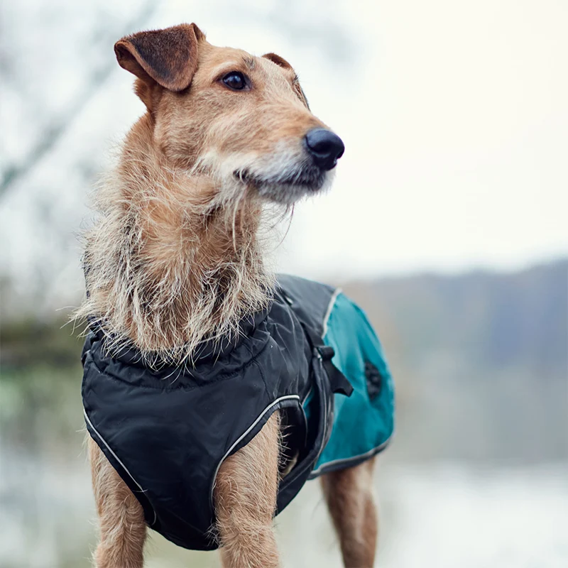 HUNTER - Uppsala Allrounder | Hundemantel