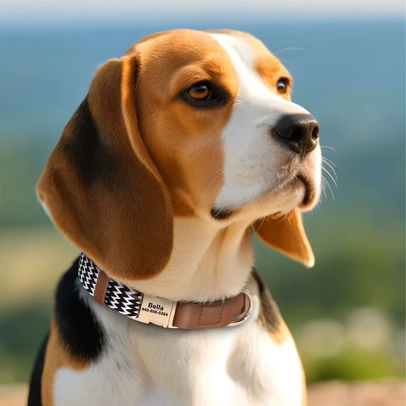 Personalisiertes Hundehalsband Lovi aus Nylon & Leder – Name & Telefonnummer (S–L)