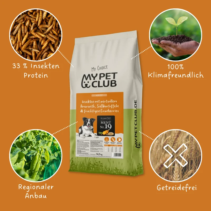 MyPetClub Insekten