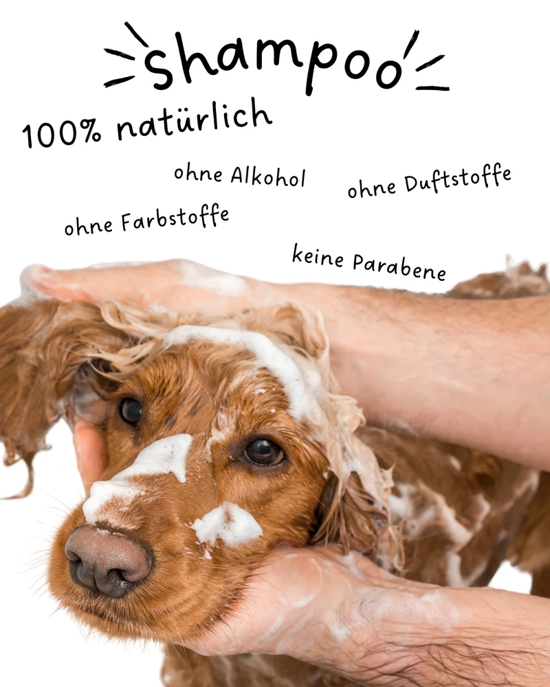 Riolino Shiny Fur Shampoo – Sanfte Pflege für glänzendes Fell