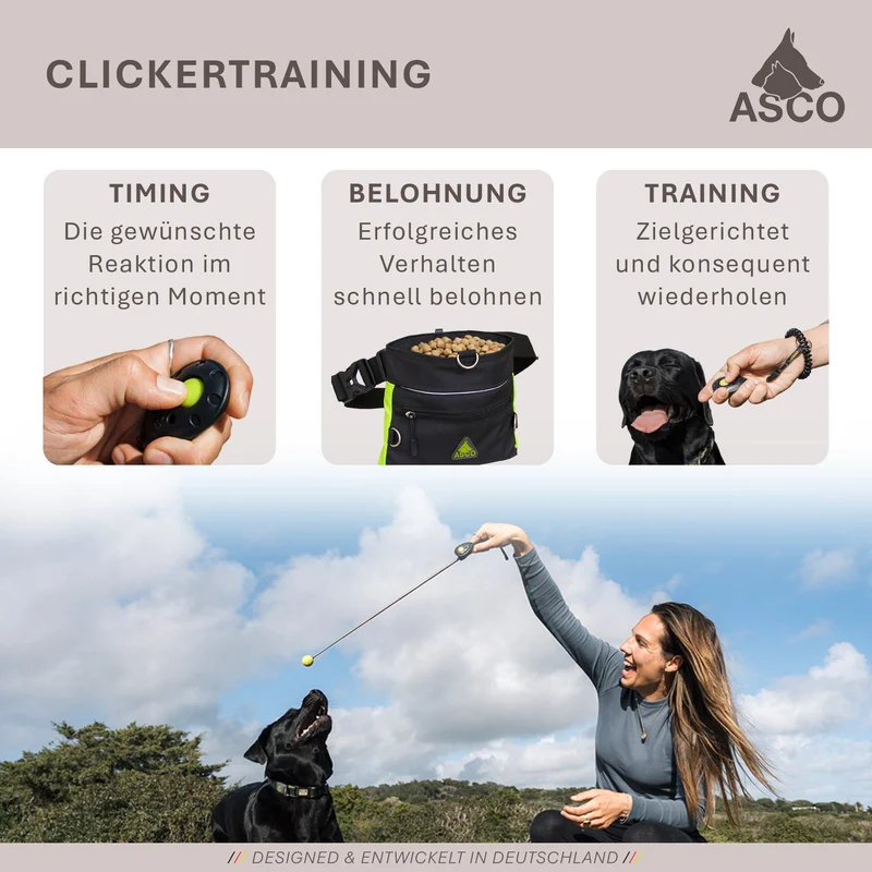 ASCO ClickStick - Target Stick mit abnehmbarem Premium Clicker - Target Stab für Hunde Katzen Clickertraining - Targetstick ausziehbar mit extra Klicker - Targetstab für Target-Training