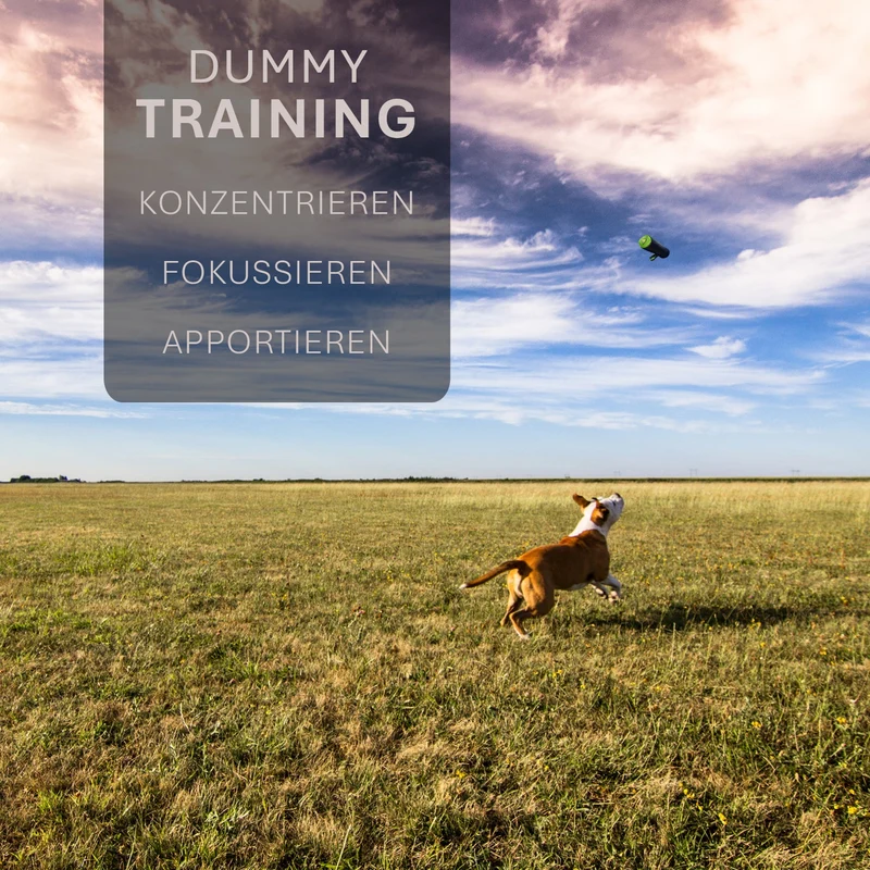 ASCO Hundedummy – Apportier- und Snack-Dummy (21x7 cm)