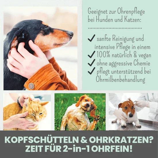 Großes Noms+ Pflege-Set | 2-in-1 Augenfein + 2-in-1 Ohrfein + Pflegepads | Für Hunde & Katzen | 100% vegan & tierleidfrei |