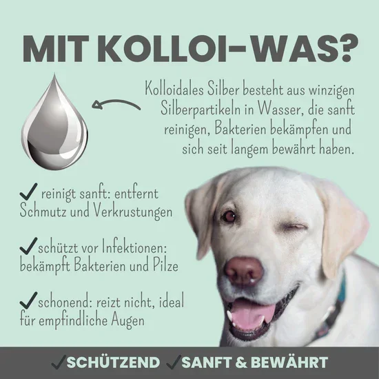 Großes Noms+ Pflege-Set | 2-in-1 Augenfein + 2-in-1 Ohrfein + Pflegepads | Für Hunde & Katzen | 100% vegan & tierleidfrei |