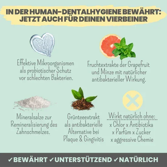Natürliches Noms+ Dentalspray bei Zahnstein uvm. | Hoch-effektive Pflanzenextrakte | Für Hunde & Katzen | 100% vegan & tierleidfrei