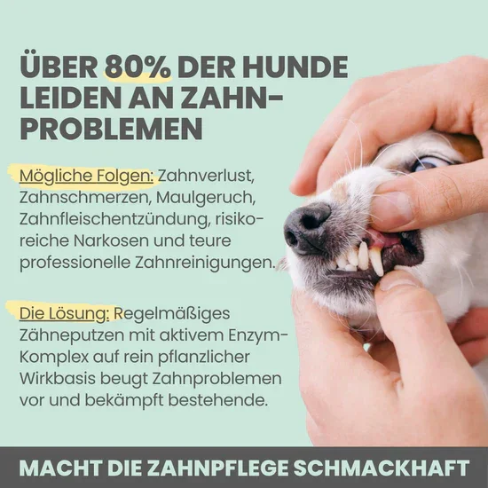 Natürliches Noms+ Zahnpflege Trio | Dentalspray - Zahncreme - Fingerling | 100% vegan & tierleidfrei