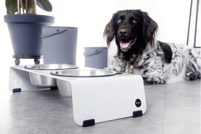 Jaska erhöhte Futterstation Hundebar ARC | Stahl & Edelstahl | 4 Größen | Weiss