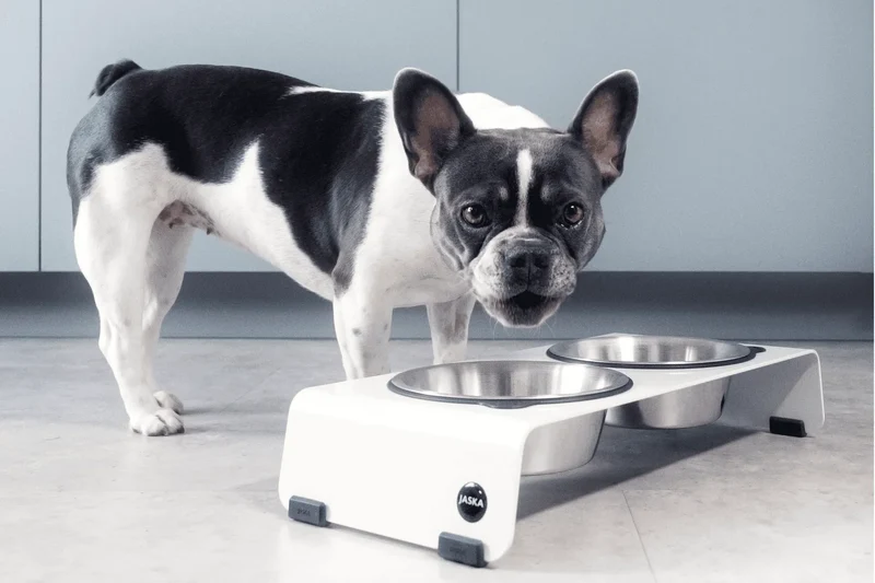 Jaska erhöhte Futterstation Hundebar ARC | Stahl & Edelstahl | 4 Größen | Weiss