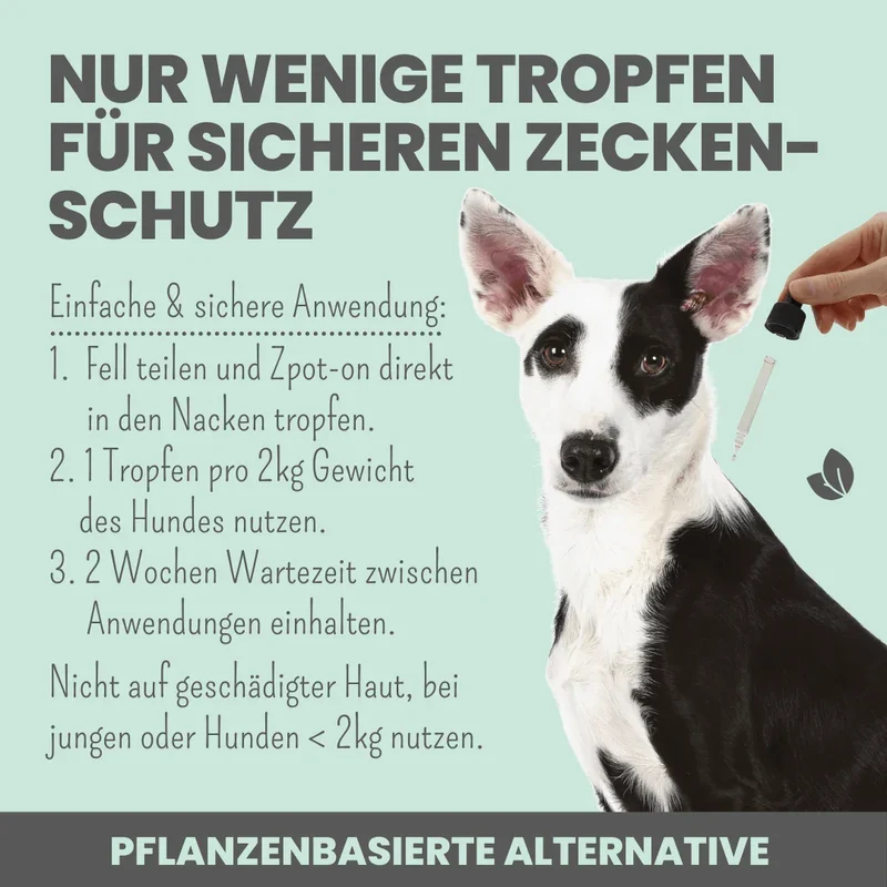 Noms+ Anti-Zecken Spray für Hunde & Menschen | gegen Flöhe, Zecken, Milben & Mücken | 100% Chemiefrei | 100ml Jahresvorrat