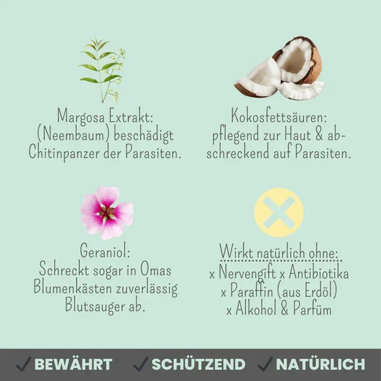 PROBIERANGEBOT! Noms+ Zpot-on für Katzen gegen Zecken, Flöhe & Co. | 100% Chemiefrei | 30ml Jahresvorrat | 100% vegan & tierleidfrei