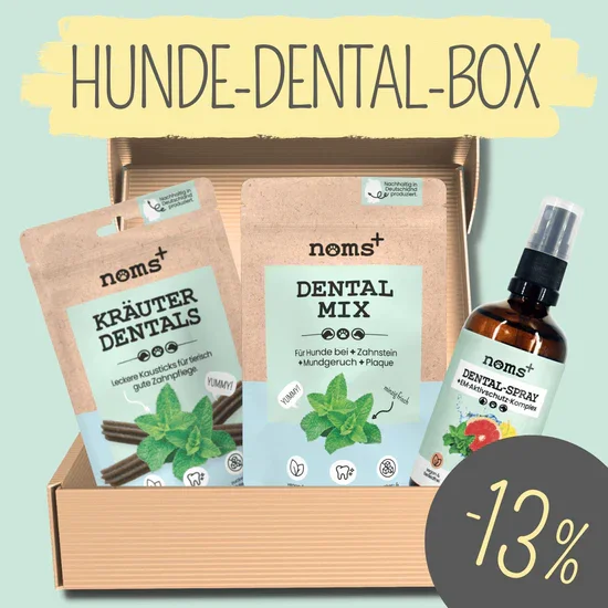 noms+ 3in1 Dental Box für Hunde | Natürlich & ohne Chemie | 100% vegan & tierleidfrei | Peta-zertifiziert