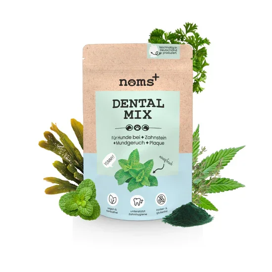 noms+ 3in1 Dental Box für Hunde | Natürlich & ohne Chemie | 100% vegan & tierleidfrei | Peta-zertifiziert