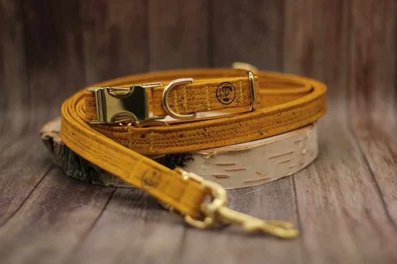 Hundehalsband mit Klickverschluss | Korkleder | Umweltfreundlich | Robust & Vegan | Senf/Gold