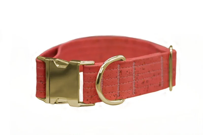 Hundehalsband mit Klickverschluss | Korkleder | Umweltfreundlich | Robust & Vegan | Coral/Gold