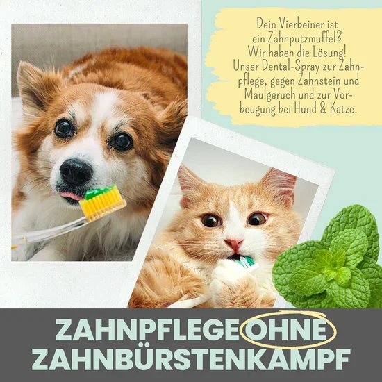 Natürliches Noms+ Dentalspray bei Zahnstein uvm. | Hoch-effektive Pflanzenextrakte | Für Hunde & Katzen | 100% vegan & tierleidfrei