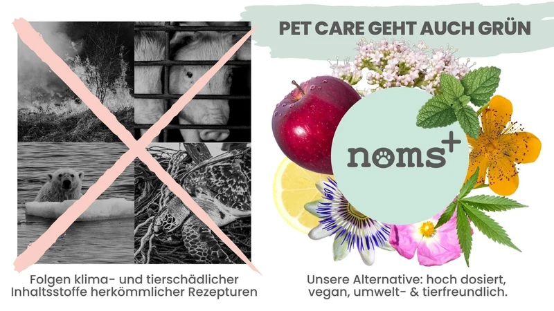 Natürliches Noms+ Dentalspray bei Zahnstein uvm. | Hoch-effektive Pflanzenextrakte | Für Hunde & Katzen | 100% vegan & tierleidfrei
