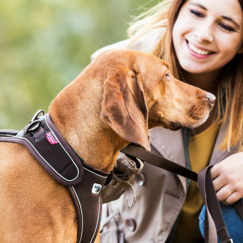 CURLI - Belka Harness | Hundegeschirr - Brustgeschirr