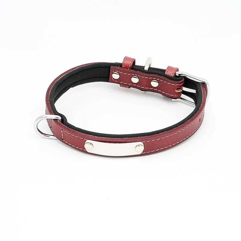 Hundehalsband mit Namen aus hochwertigem Leder, Innenpolsterung aus Neopren, 2 massive D-Ringe