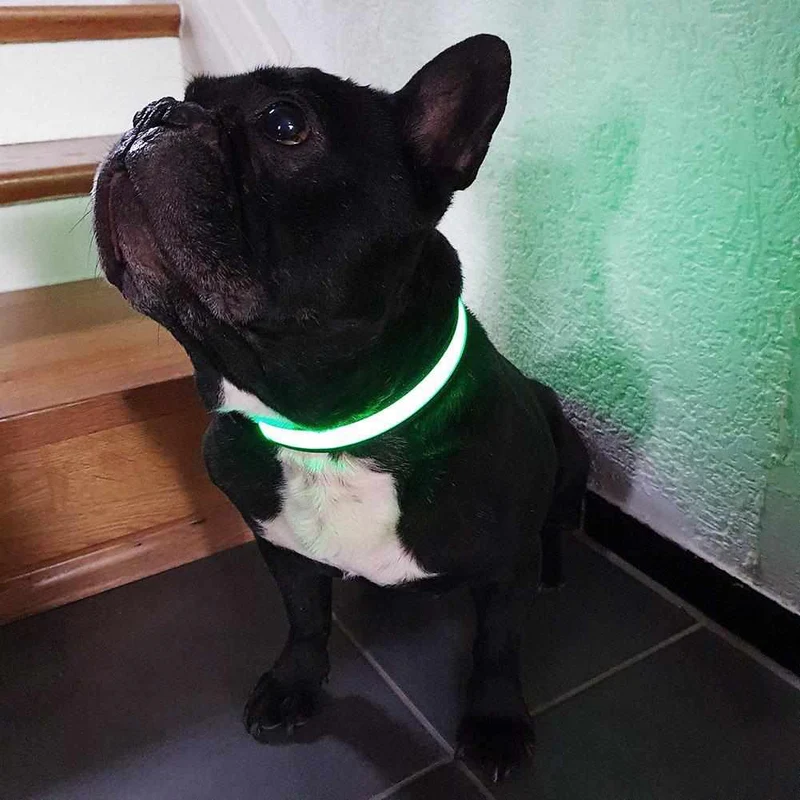 LED Hundehalsband, Stabiles Nylon mit USB Anschluß