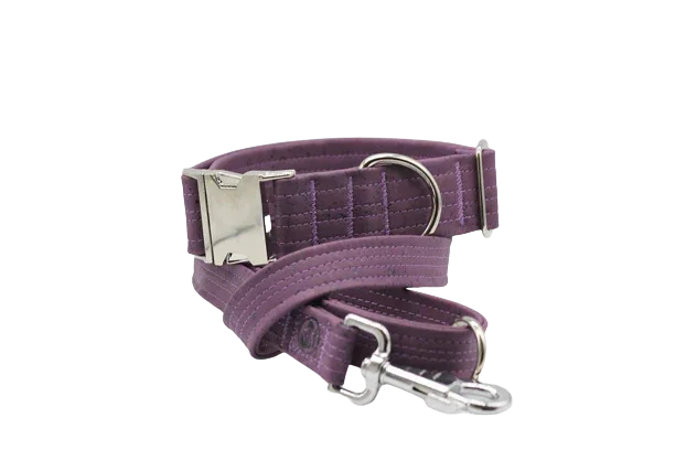 Hundehalsband mit Klickverschluss | Korkleder | Umweltfreundlich | Robust & Vegan | Flieder/Silber