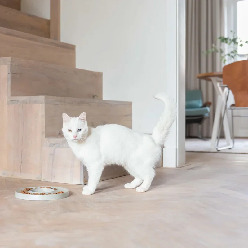 Katzennapf "Slowfeeder" von HOOPO® | 100% Porzellan | Grau