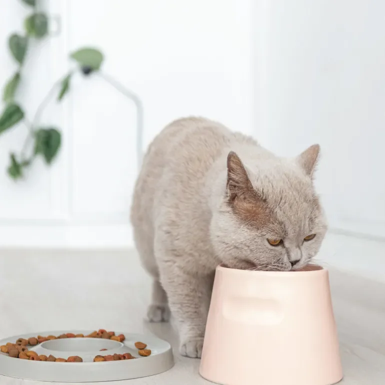 Katzennapf "Slowfeeder" von HOOPO® | 100% Porzellan | Grau