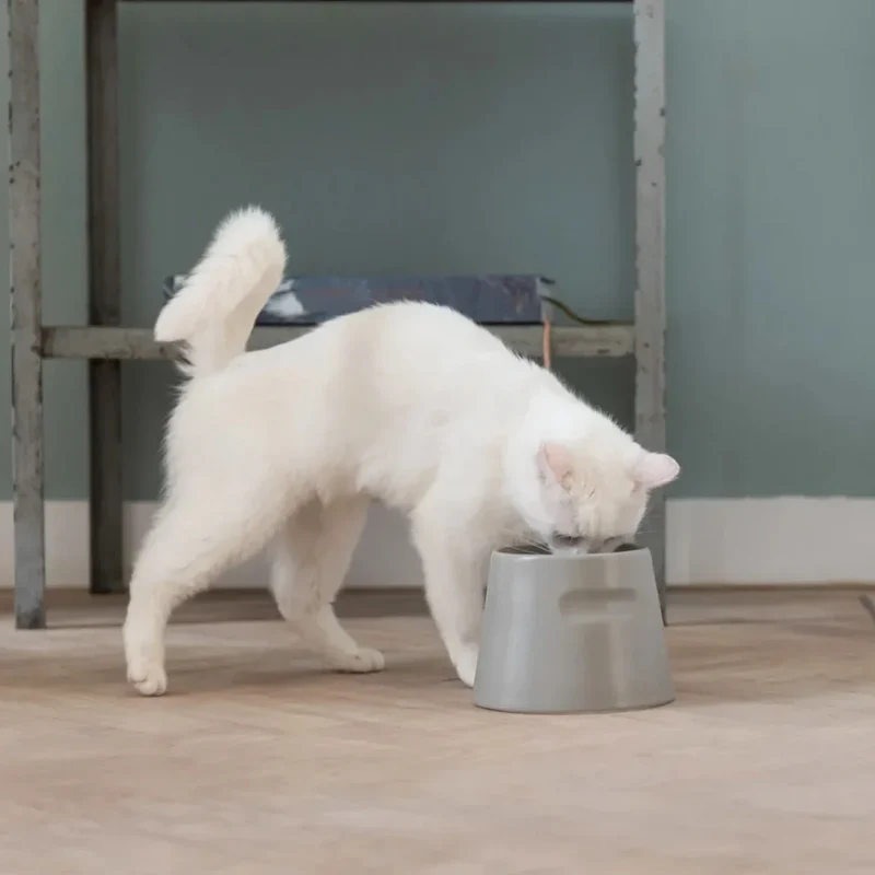 Ergonomischer Katzennapf "Tower" von HOOPO® | 100% Porzellan | 300 ml | Grau