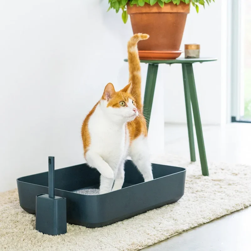 Nachhaltige Katzentoilette HOOPO® Poh | 100% recycelt | Grau