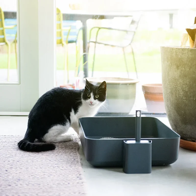 Nachhaltige Katzentoilette HOOPO® Poh | 100% recycelt | Grau