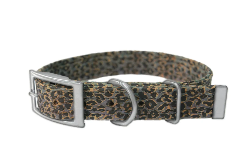 Hundehalsband mit Dornschnalle | Korkleder | Umweltfreundlich | Robust & Vegan | Leo blau/silber