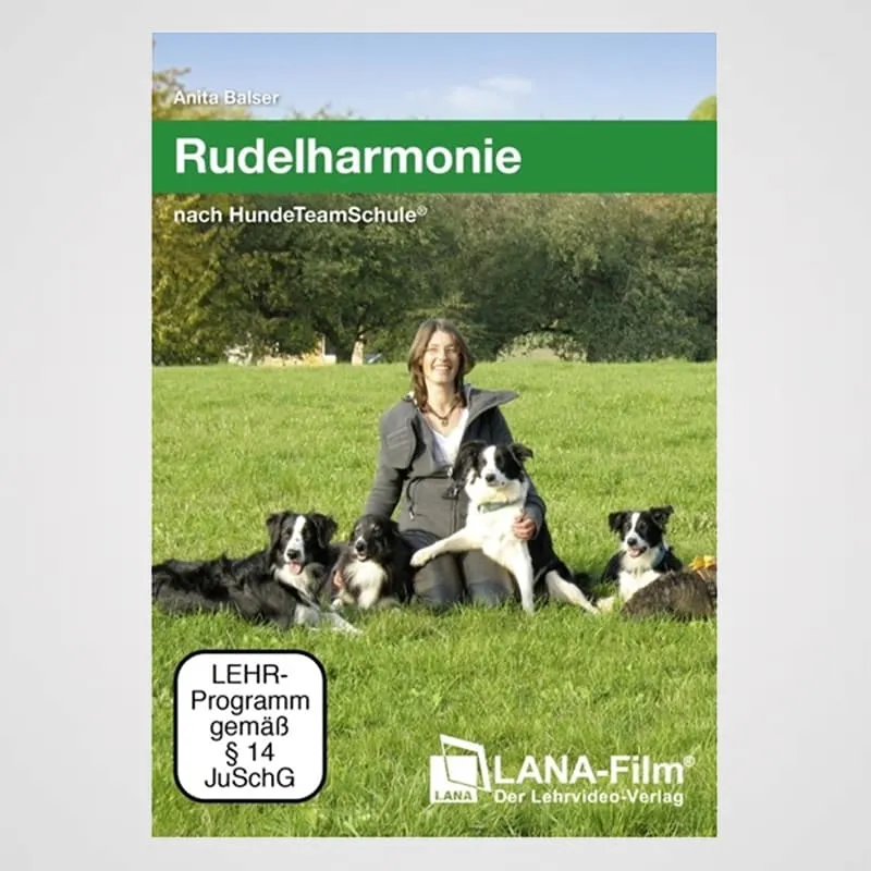Rudelharmonie - nach HundeTeamSchule | DVD