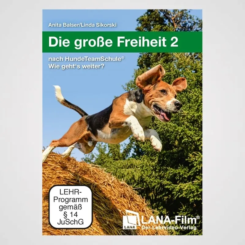 Die große Freiheit 2 - Wie geht es weiter? | DVD