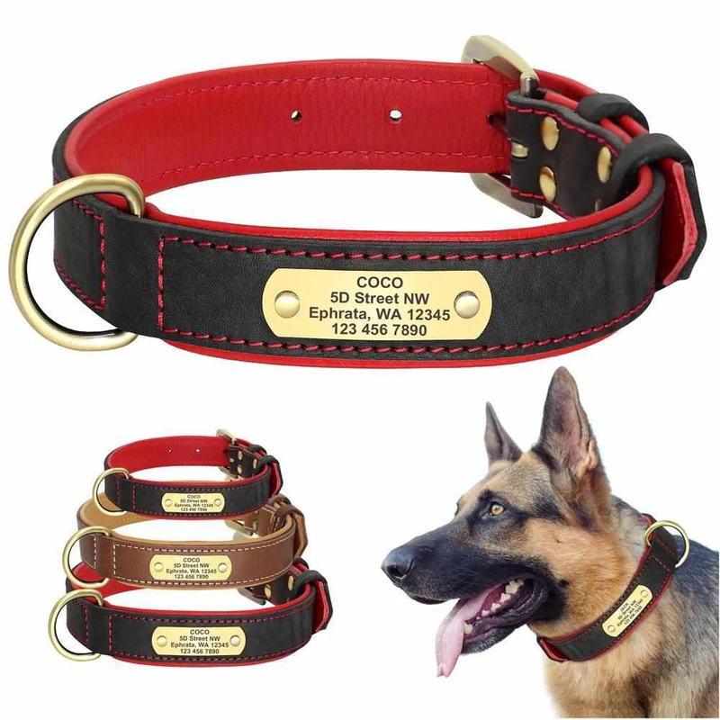 Exklusives Leder Hundehalsband mit Namen und Telefon graviert