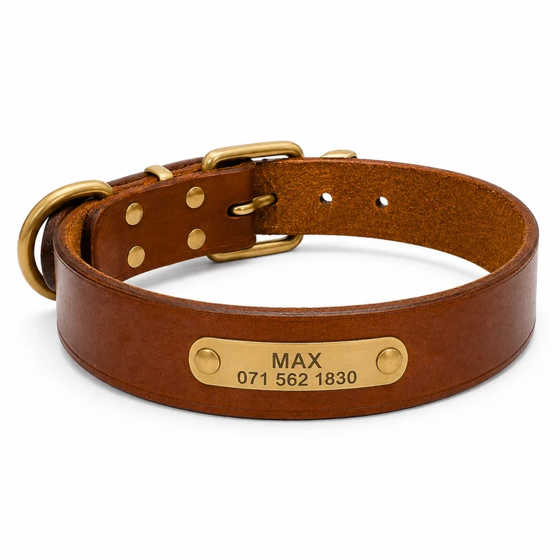 Leder Hundehalsband mit goldfarbener Marke, Gravur Name und Telefon