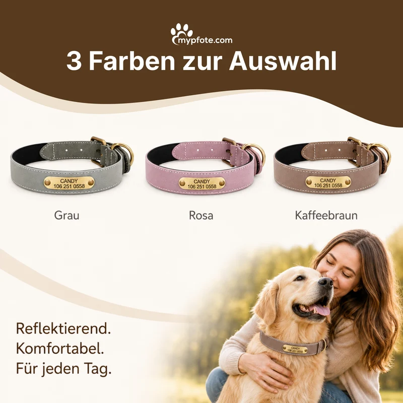 Wunderschönes Reflektions Hundehalsband mit Namen graviert