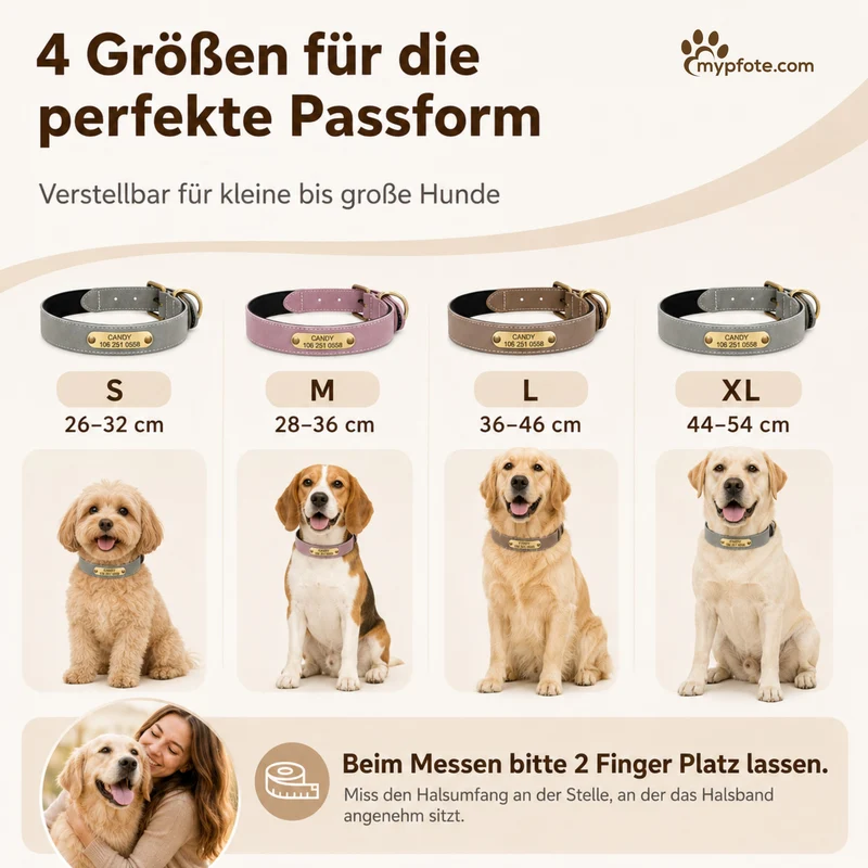 Wunderschönes Reflektions Hundehalsband mit Namen graviert