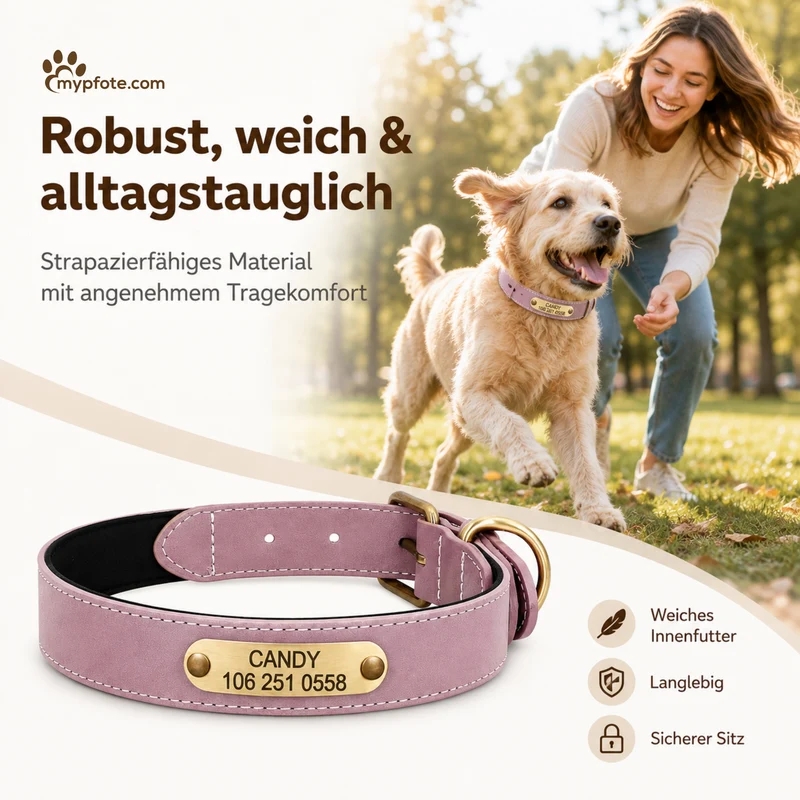 Wunderschönes Reflektions Hundehalsband mit Namen graviert