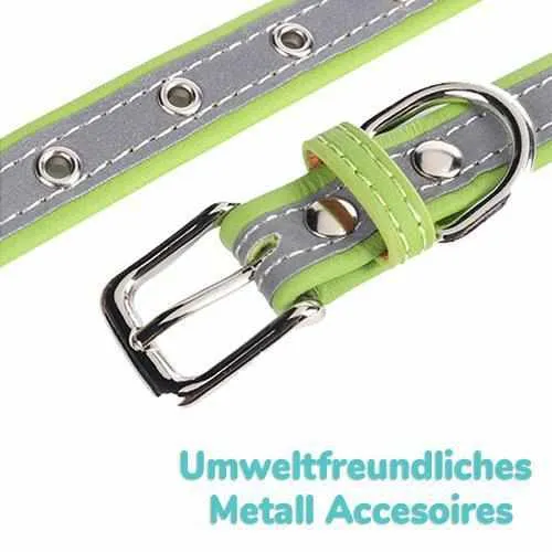 Hundehalsband mit Namen und Telefon graviert. Reflektierend